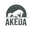 Akeda – Charity Fund